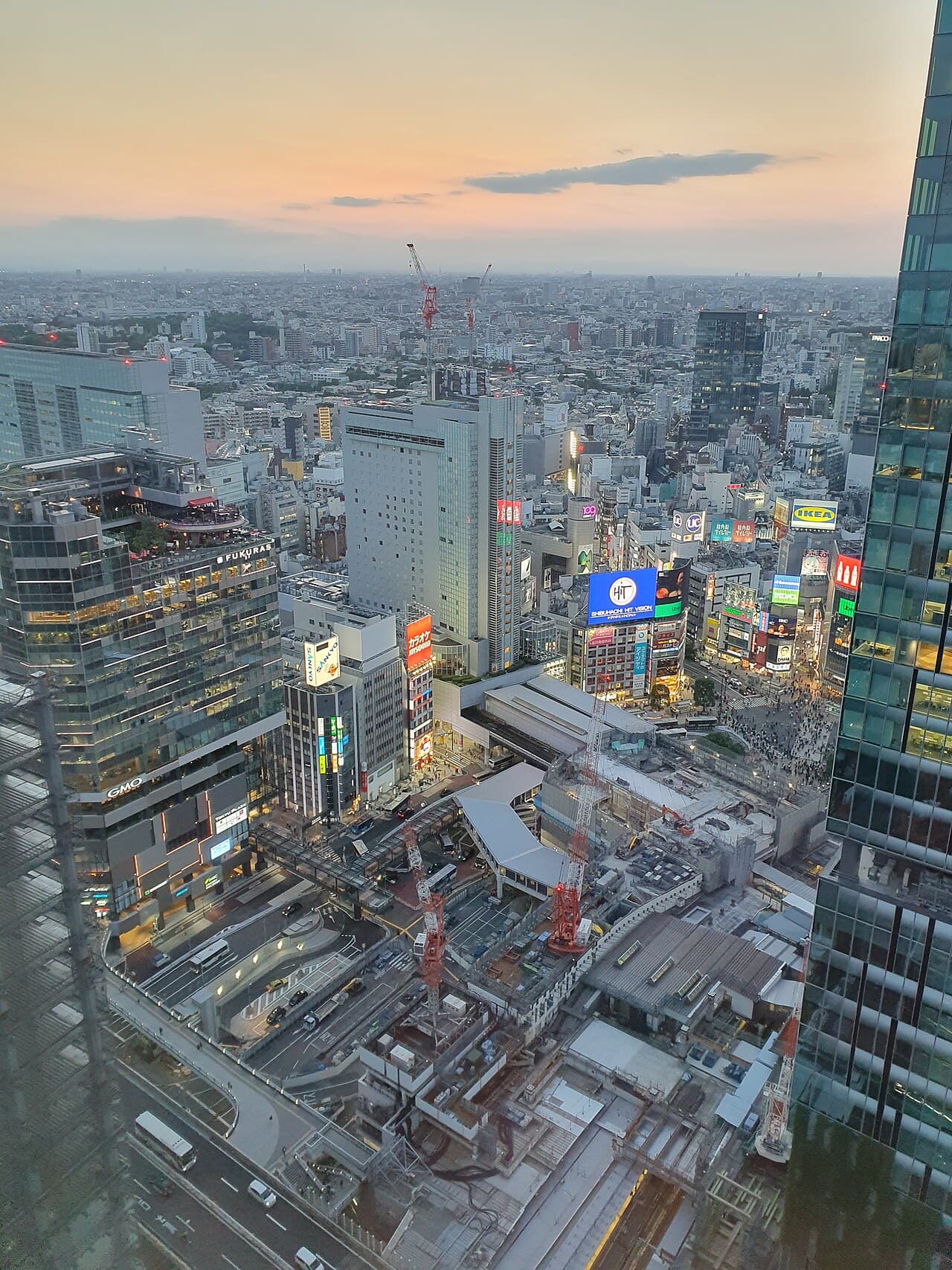 Shibuya